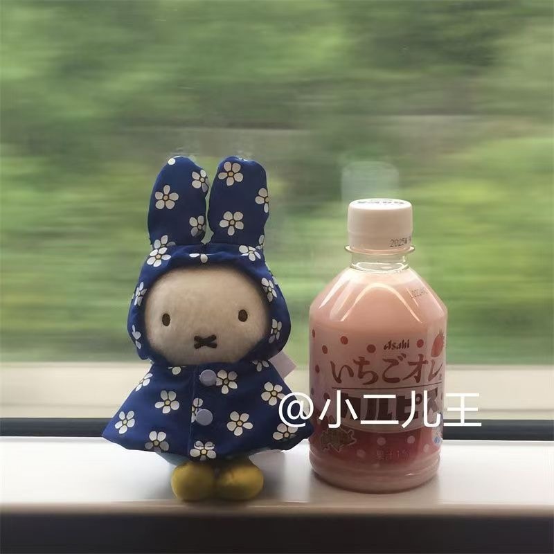 Gantungan Kunci Boneka Jas Huj - Vintage Item ulasan dan harga